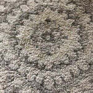 Meet your Posher, Cory